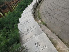 -北京麋鹿生态实验中心
