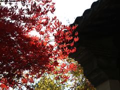 -惠山古镇·寄畅园