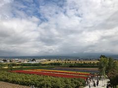 -富田农场