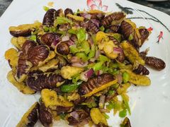 -大家乐东北菜(富河园店)