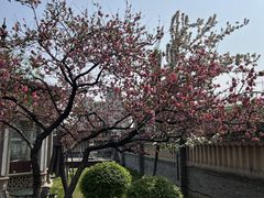-卫鼎轩·曹公馆(鼓楼店)