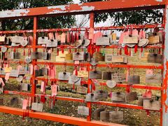 -东方艺术博物馆