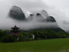 -长寿村
