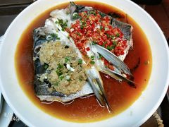 双色鱼头-麓湘小镇(开福万达广场店)