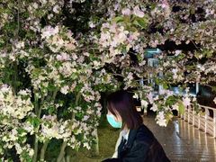 -大兴滨河森林公园