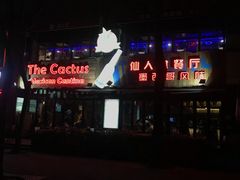 -Cactus墨西哥仙人掌餐厅