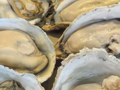 -蚝贝乐鲜蚝烤肉烤榴莲自助(金楠天街店)
