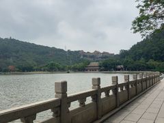 -顺峰山公园