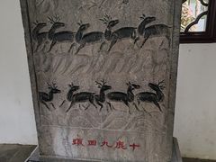 -上海醉白池公园