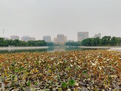 -长春世界雕塑园冰雪艺术天地