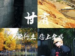 -金塔沙漠胡杨林景区