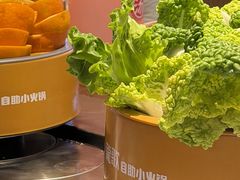 -龍歌自助小火锅(秦淮水游城店)