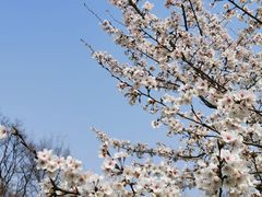 -陕西省西安植物园