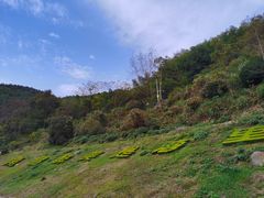 -梅岭月亮湾山体公园