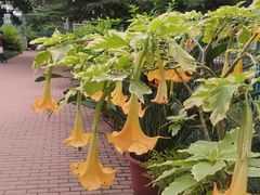 -国家植物园南园