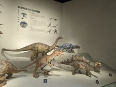-自贡恐龙博物馆
