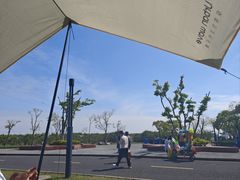 -春花秋色城市公园