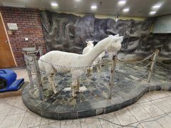 -上海大自然野生昆虫馆(东方明珠·爬宠昆虫探索中心)