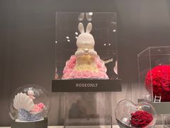 -ROSEONLY诺誓(广州K11店)