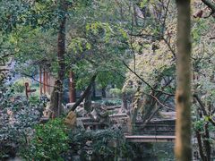 -绮园景区