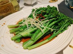 清炒芥兰-阿五黄河大鲤鱼(英协路店)