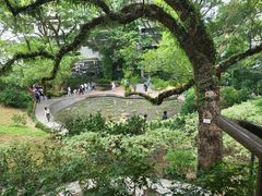 -香港大学