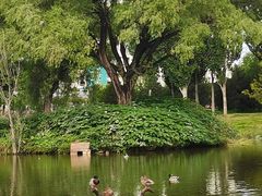-东坝千亩湖公园