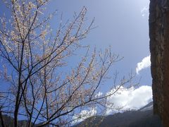 -萝卜寨羌文化生态旅游区