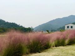 -东钱湖旅游度假区