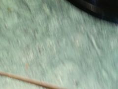 -牛New寿喜烧(金鹰世界店)