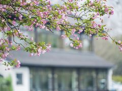 -莫愁湖公园