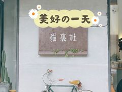 -猫里有甜