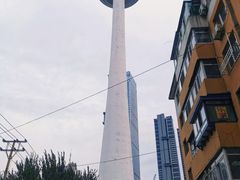 -辽宁电视塔