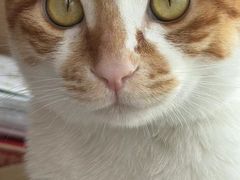 -FullHouse桌游跑团血染剧本杀(南京西路店)