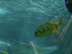 -福州罗源湾海洋世界旅游区