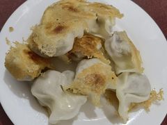 -东门饺子馆(少年宫路店)