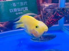 -四季春(美食街店)