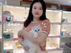 -lincat·猫舍(广州店)