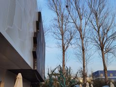 -罗红摄影艺术馆