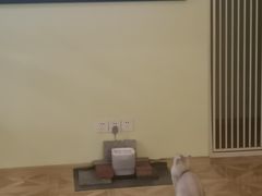 -青柠影咖·私人影院(龙泉店)