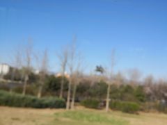 -北京市八达岭人民公墓