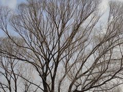 -北京亚布洛尼朝阳公园滑雪场