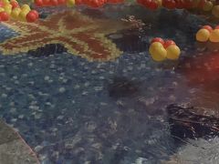 -杭州第一世界大酒店·云曼温泉