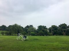 -雨花胜境