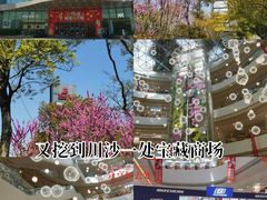 -百联川沙购物中心