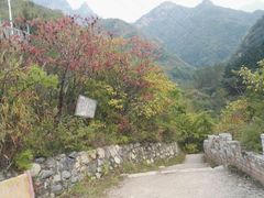 -云岫谷自然风景区