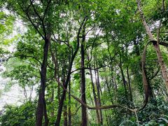 -华南国家植物园-售票处