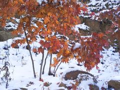 -丹东天桥沟景区
