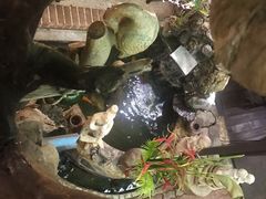 -自然餐厅(Phuket)