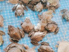 -四海蒸鲜蒸汽海鲜自助(北戴河店)